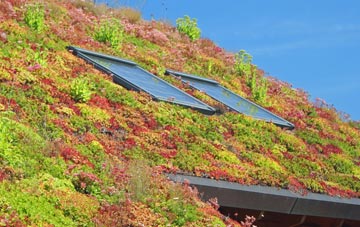 Luddesdown living roof systems