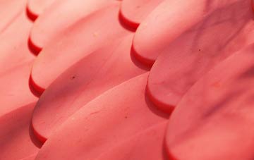 Luddesdown plastic roof costs