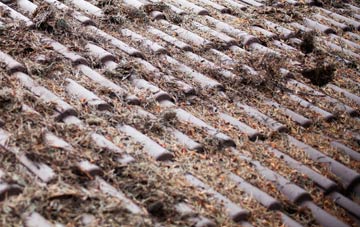 Luddesdown roof cleaning companies