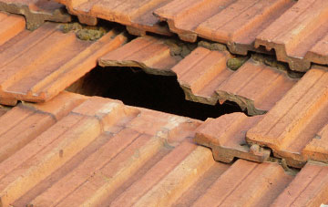 roof repair Luddesdown, Kent