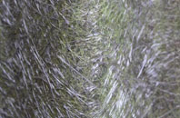 Luddesdown fibreglass roof work